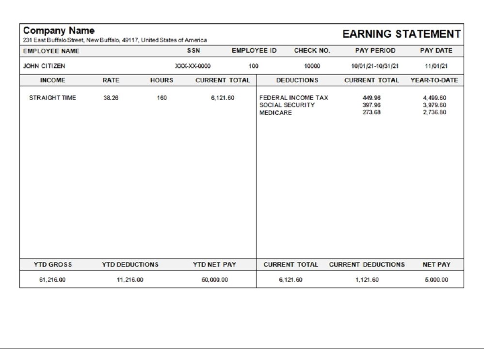 USA Michigan pay stub